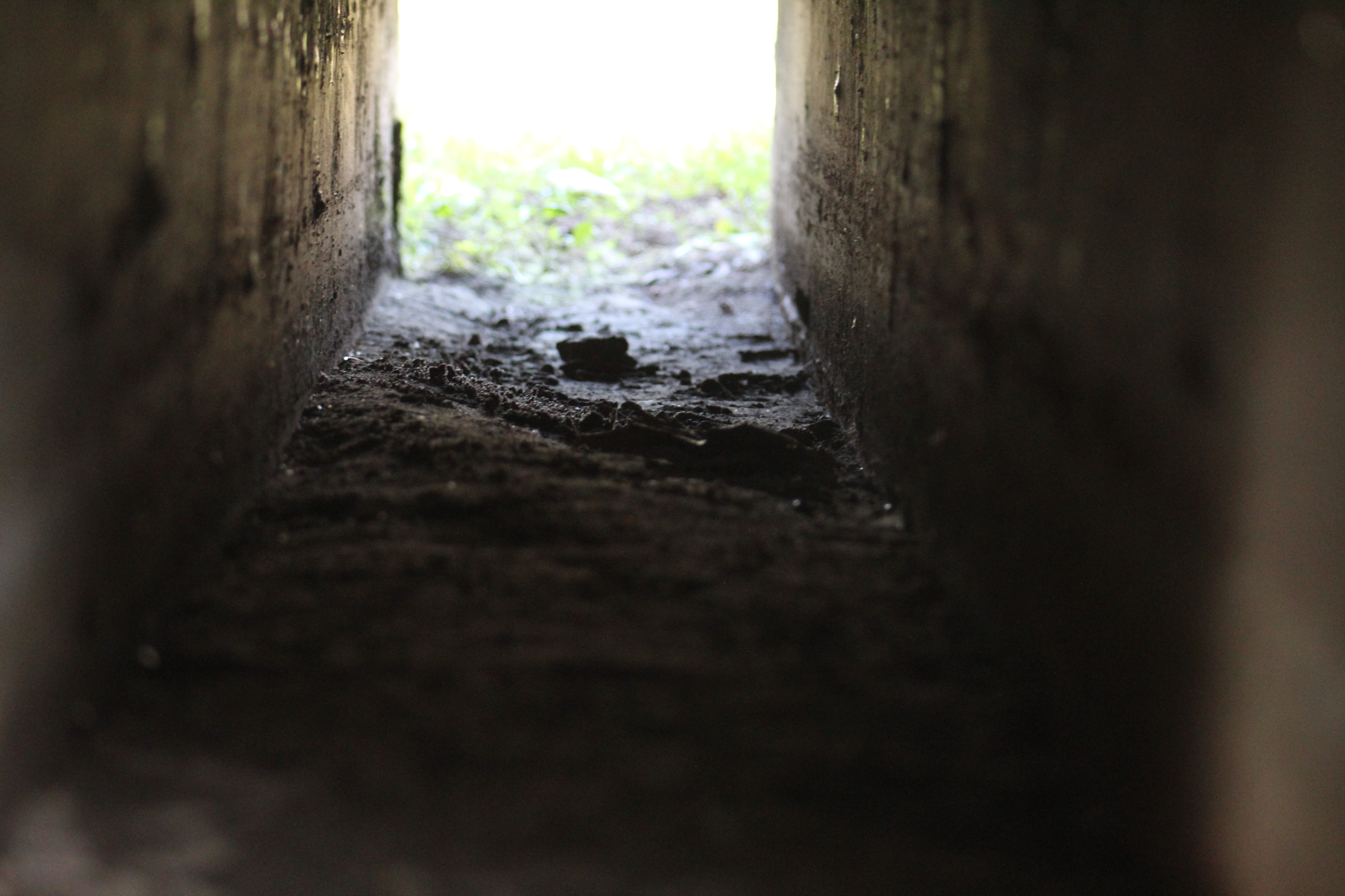 Tunnel